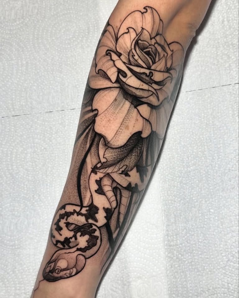Rosa & cobra