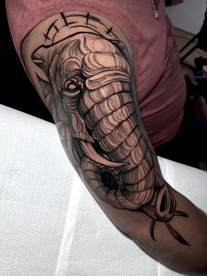 Elefante