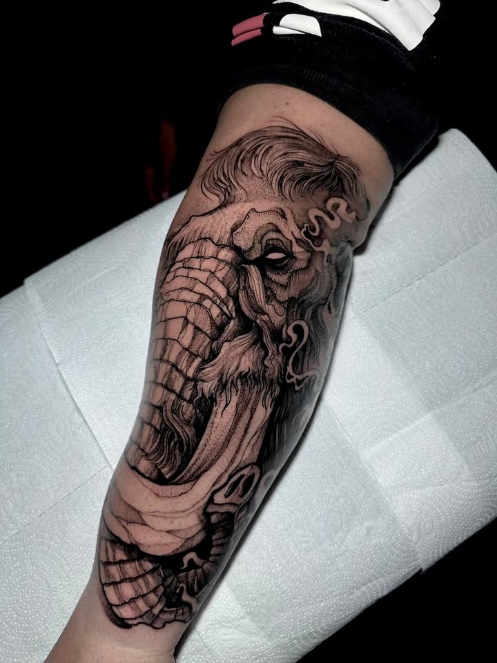Elefante